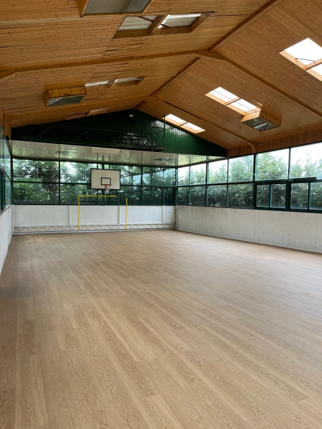 Cancha de baloncesto