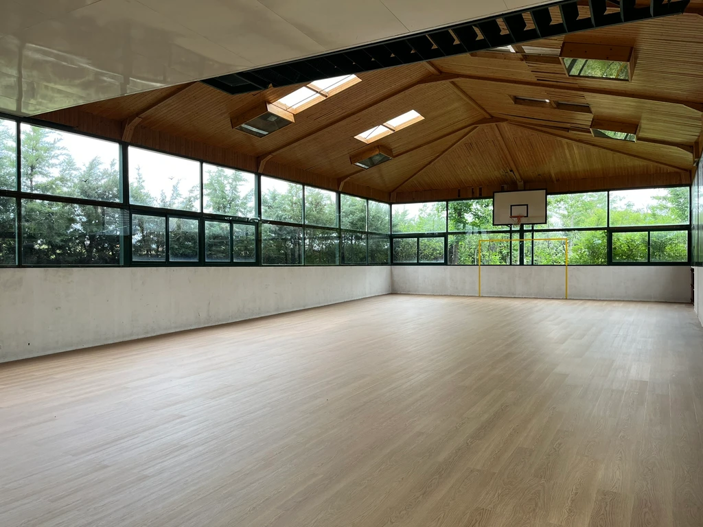 Cancha de baloncesto