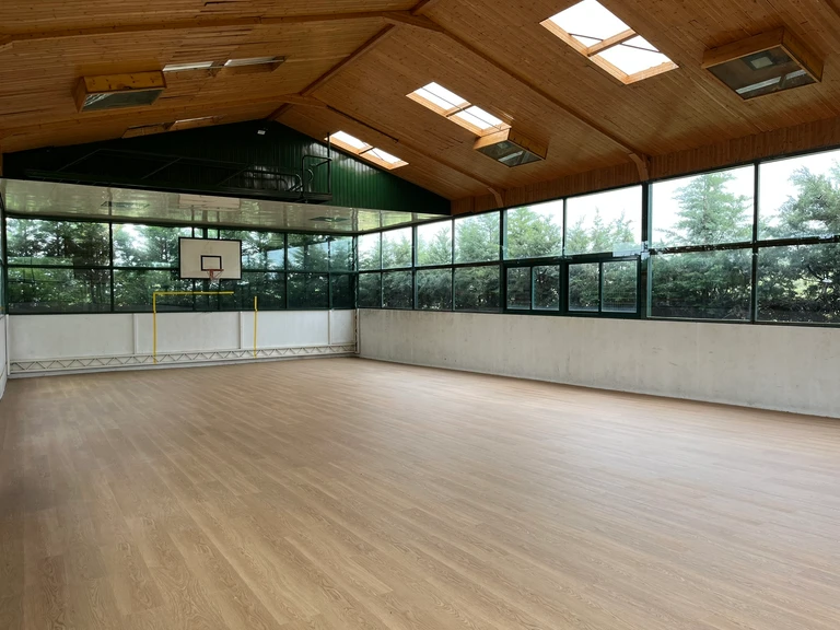 Cancha de baloncesto